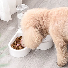 Heart-Shaped Automatic Pet Water Dispenser and Feeder